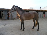/album/cadeado/sam-0537-jpg/