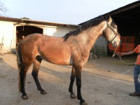 /album/cadeado/sam-0542-jpg/