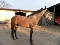 /album/cadeado/sam-0543-jpg/