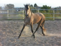 /album/cadeado/sam-0556-jpg/